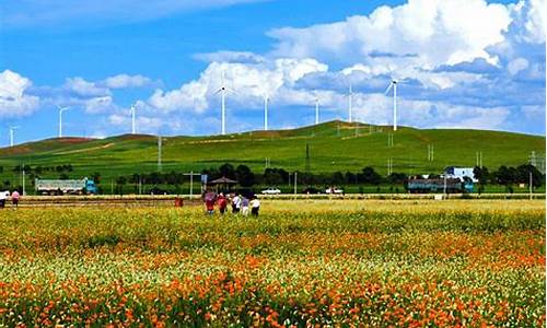 张北草原自驾游旅游攻略_张北草原自驾游多