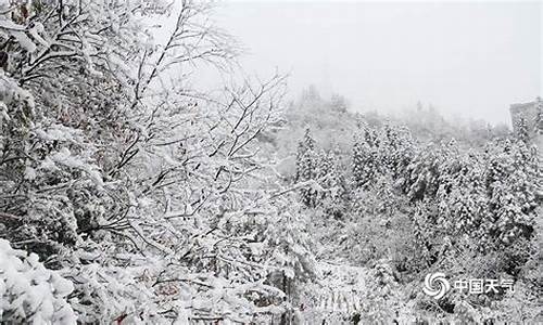 城口天气预报7天查询_城口天气