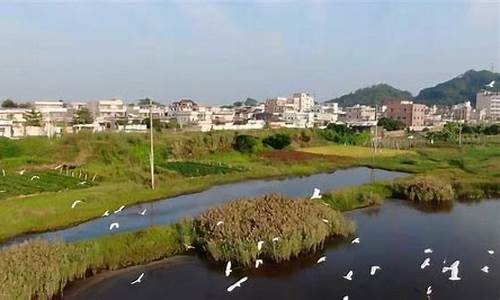 海丰县天气查询_海丰县天气预报海丰县海丰县