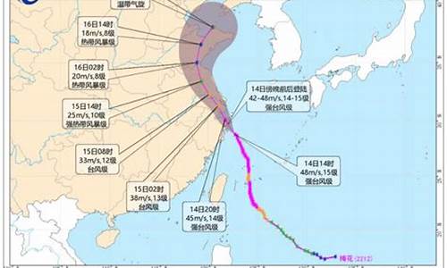 2o2l年台风_2022年台风最新公布