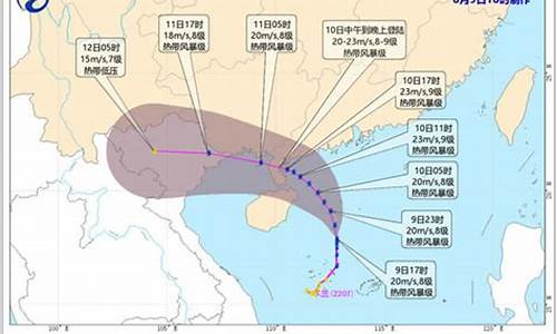 2020台风胚胎_2023最新的台风胚胎即将生成