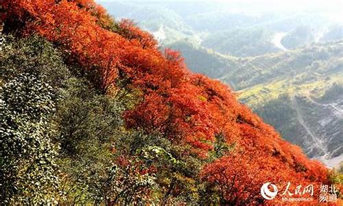 郧县天气预报_郧县天气预报40天