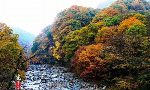 光雾山风景区旅游攻略_光雾山风景区旅游攻略电话