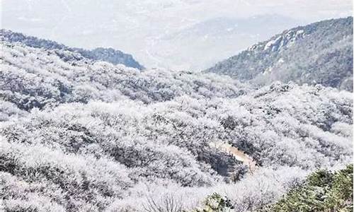 平邑天气预报24小时查询_平邑天气预报天气